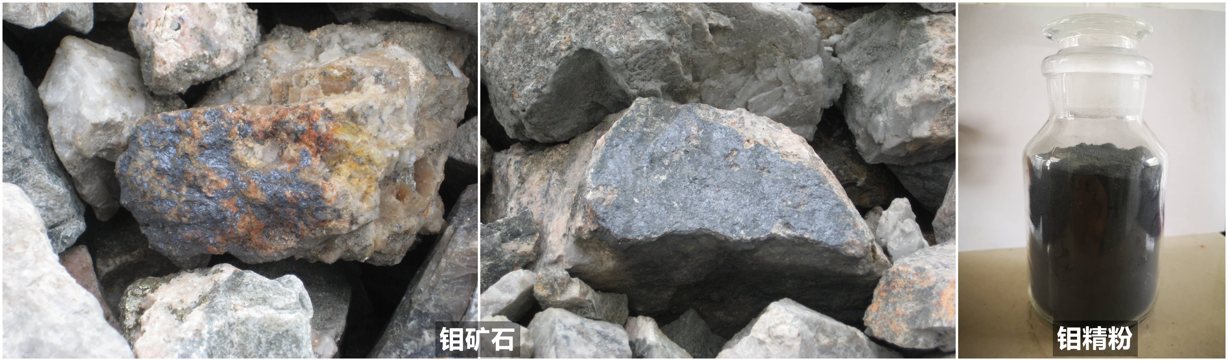 1601358609128574.jpg 鉬礦石照片1_副本.jpg